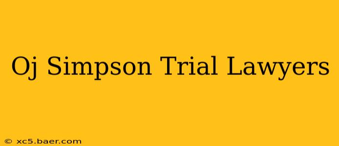 Oj Simpson Trial Lawyers
