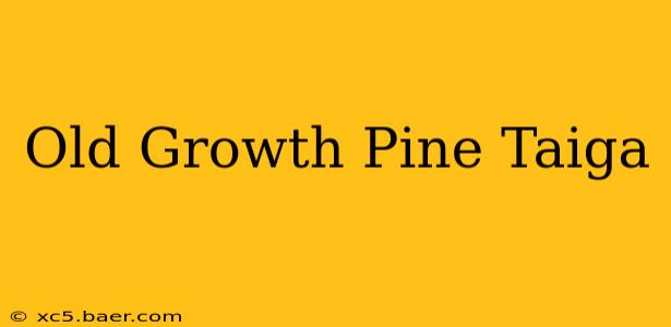 Old Growth Pine Taiga