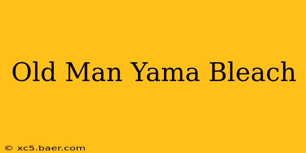 Old Man Yama Bleach