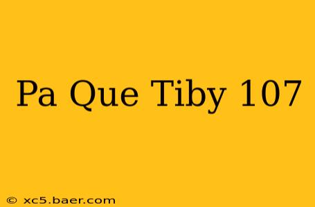 Pa Que Tiby 107