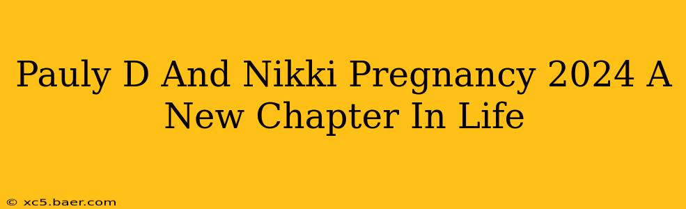 Pauly D And Nikki Pregnancy 2024 A New Chapter In Life