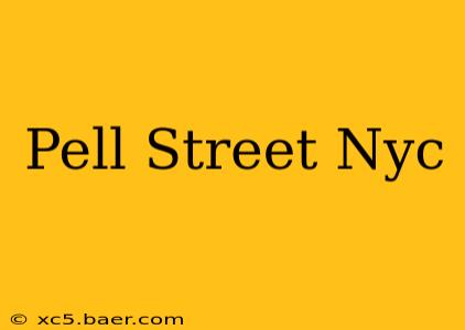 Pell Street Nyc
