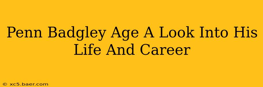 Penn Badgley Age A Look Into His Life And Career