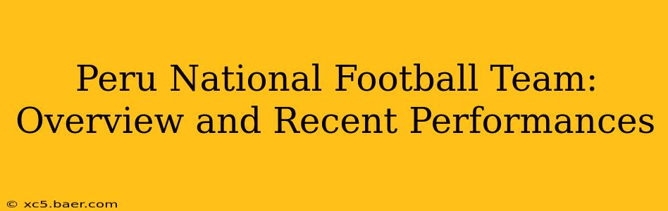 Peru National Football Team: Overview and Recent Performances