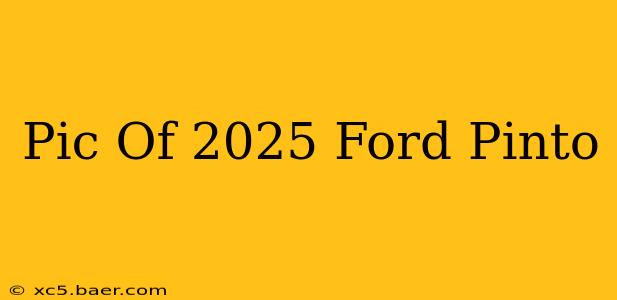 Pic Of 2025 Ford Pinto
