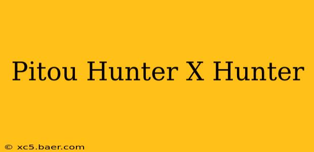 Pitou Hunter X Hunter