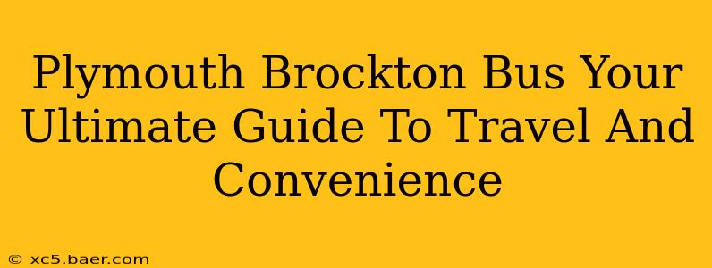 Plymouth Brockton Bus Your Ultimate Guide To Travel And Convenience