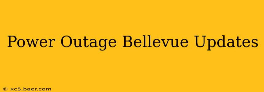 Power Outage Bellevue Updates