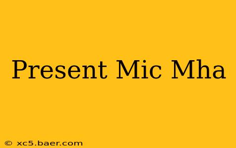 Present Mic Mha