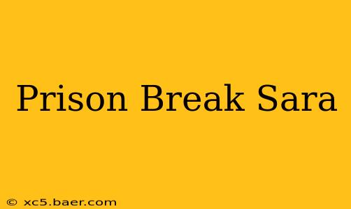 Prison Break Sara
