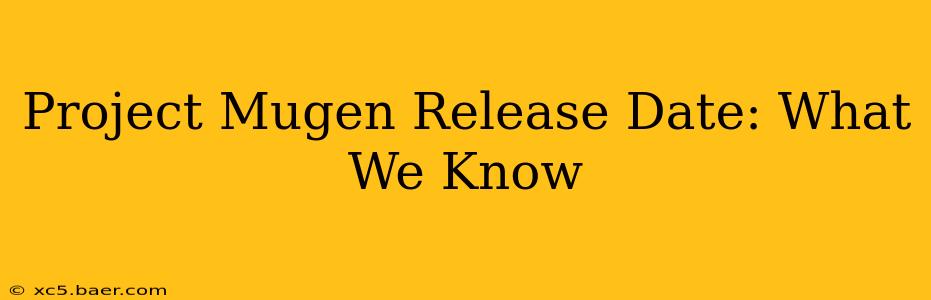 Project Mugen Release Date: What We Know
