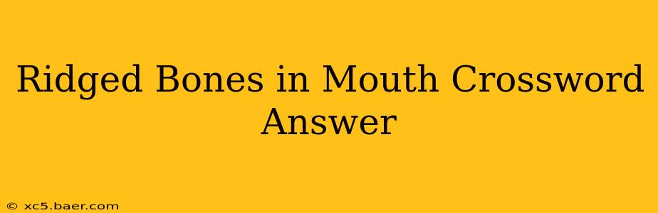 Ridged Bones in Mouth Crossword Answer