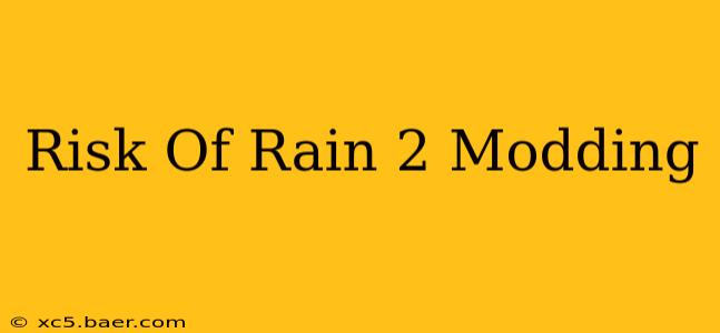 Risk Of Rain 2 Modding