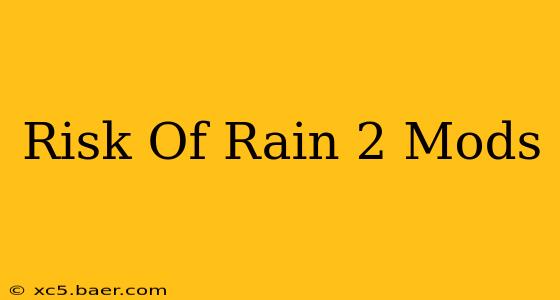 Risk Of Rain 2 Mods