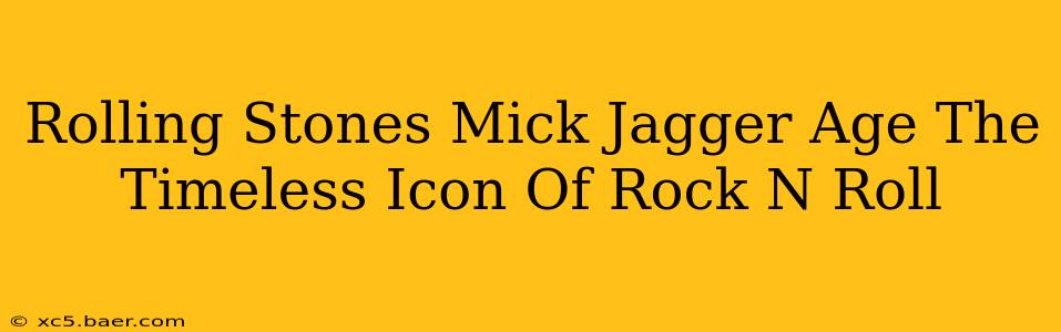 Rolling Stones Mick Jagger Age The Timeless Icon Of Rock N Roll