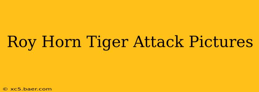 Roy Horn Tiger Attack Pictures