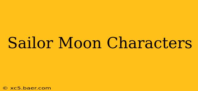 Sailor Moon Characters