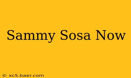 Sammy Sosa Now