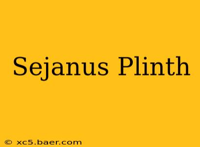 Sejanus Plinth