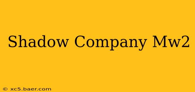 Shadow Company Mw2