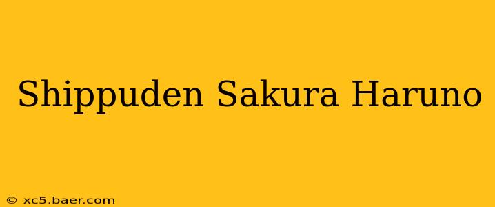 Shippuden Sakura Haruno