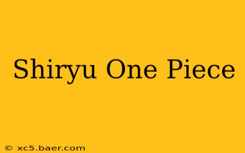 Shiryu One Piece