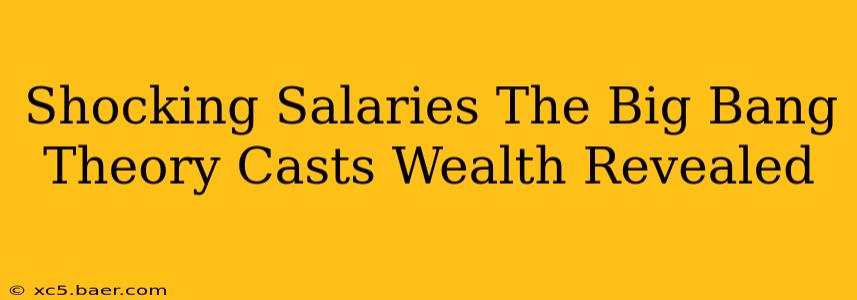 Shocking Salaries The Big Bang Theory Casts Wealth Revealed