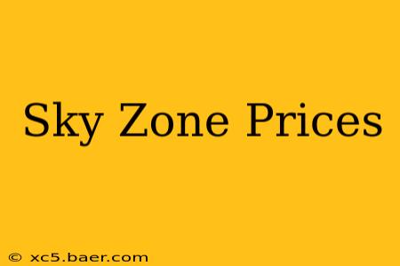 Sky Zone Prices