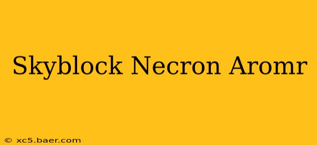 Skyblock Necron Aromr