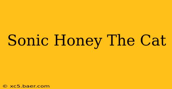 Sonic Honey The Cat