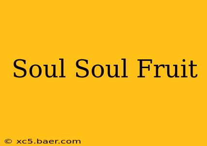 Soul Soul Fruit