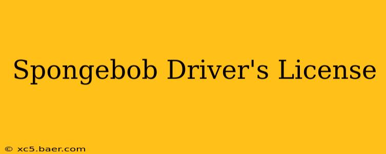 Spongebob Driver's License