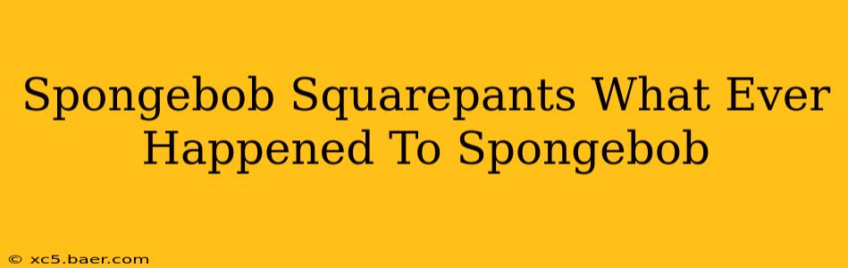 Spongebob Squarepants What Ever Happened To Spongebob