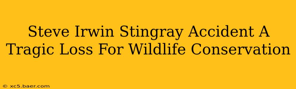 Steve Irwin Stingray Accident A Tragic Loss For Wildlife Conservation