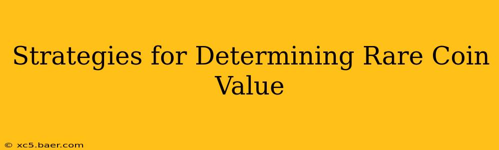 Strategies for Determining Rare Coin Value