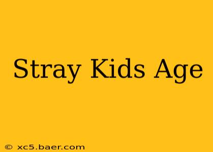 Stray Kids Age