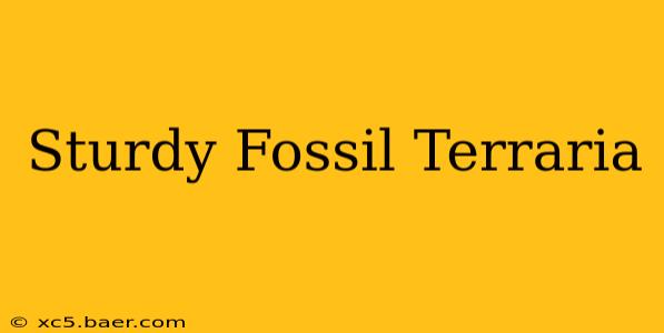 Sturdy Fossil Terraria