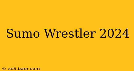 Sumo Wrestler 2024