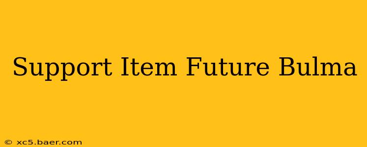 Support Item Future Bulma