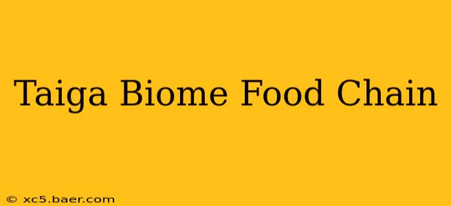 Taiga Biome Food Chain