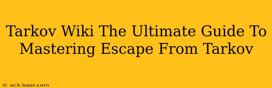 Tarkov Wiki The Ultimate Guide To Mastering Escape From Tarkov