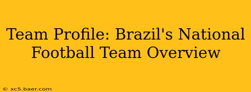 Team Profile: Brazil's National Football Team Overview