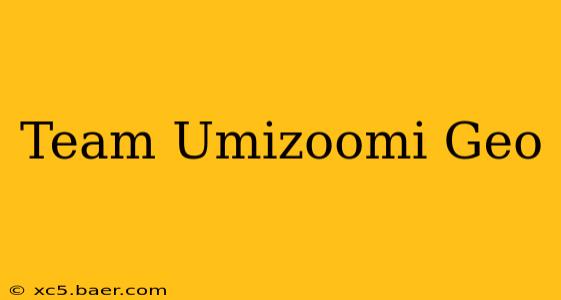 Team Umizoomi Geo