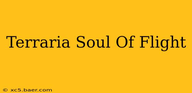 Terraria Soul Of Flight