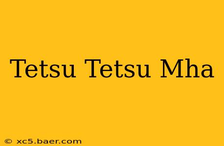 Tetsu Tetsu Mha
