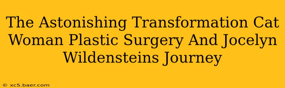 The Astonishing Transformation Cat Woman Plastic Surgery And Jocelyn Wildensteins Journey
