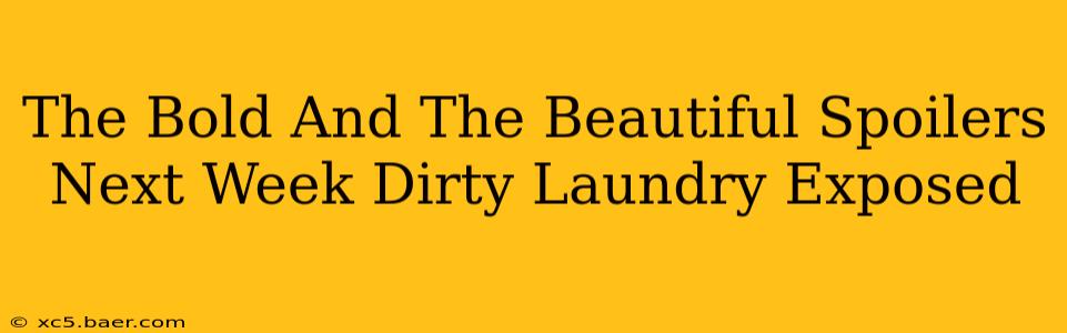 The Bold And The Beautiful Spoilers Next Week Dirty Laundry Exposed