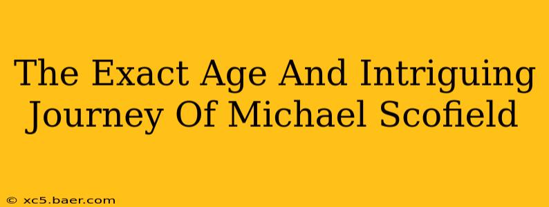 The Exact Age And Intriguing Journey Of Michael Scofield