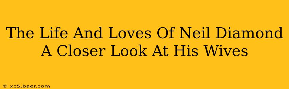The Life And Loves Of Neil Diamond A Closer Look At His Wives
