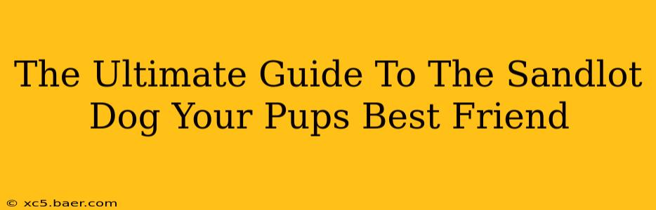 The Ultimate Guide To The Sandlot Dog Your Pups Best Friend